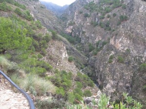 Walking on a wet day. Up the gorge from Canillas de Aceituna. Great walk.